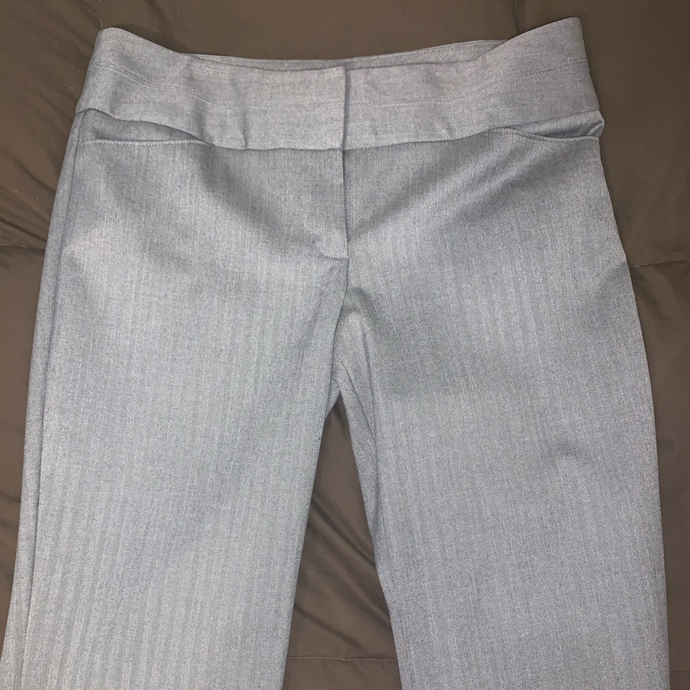 Express Dress Pants